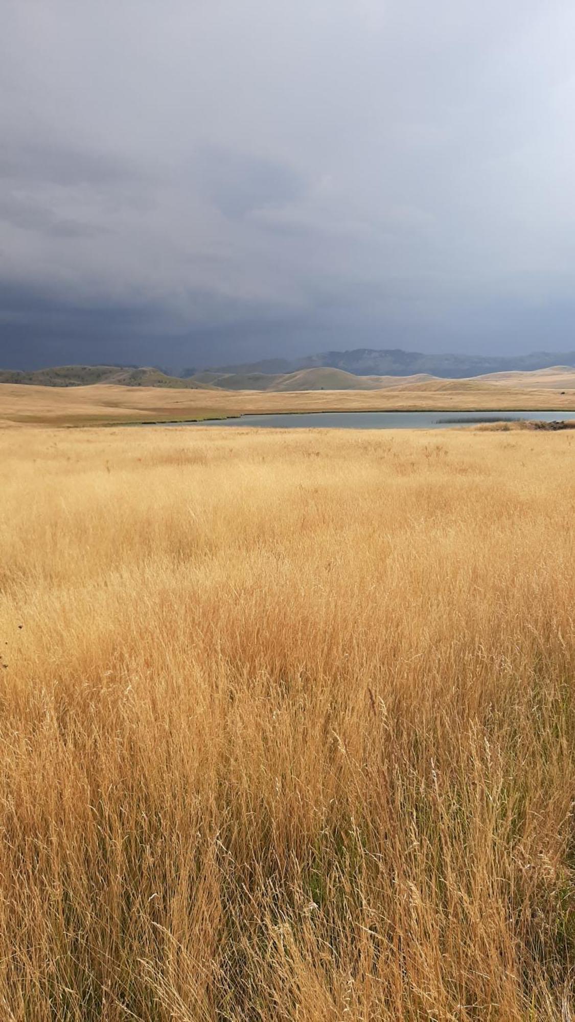 Apartments Durmitor ชาเบลียค ภายนอก รูปภาพ
