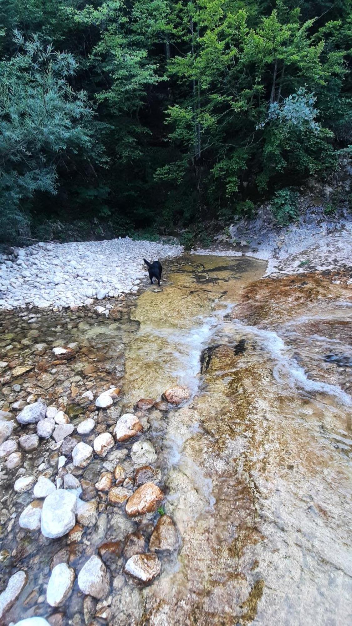 Apartments Durmitor ชาเบลียค ภายนอก รูปภาพ