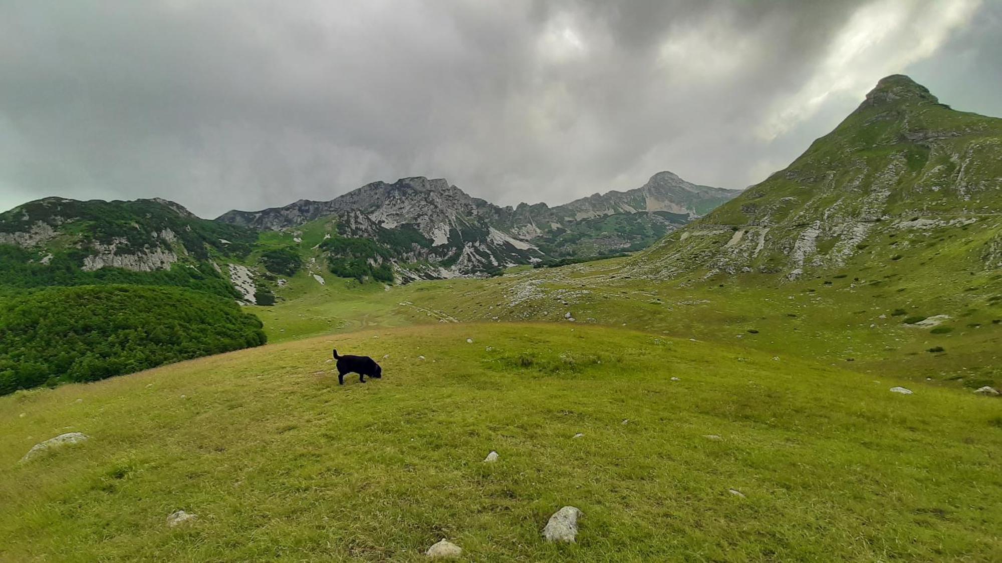 Apartments Durmitor ชาเบลียค ภายนอก รูปภาพ